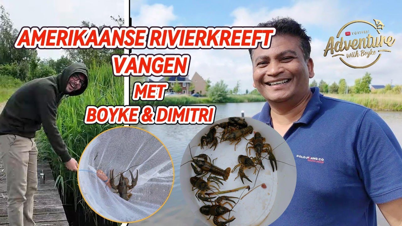 Amerikaanse Rivierkreeft Vangen met Boyke & Dimitri in Nederland #netherlands #trending