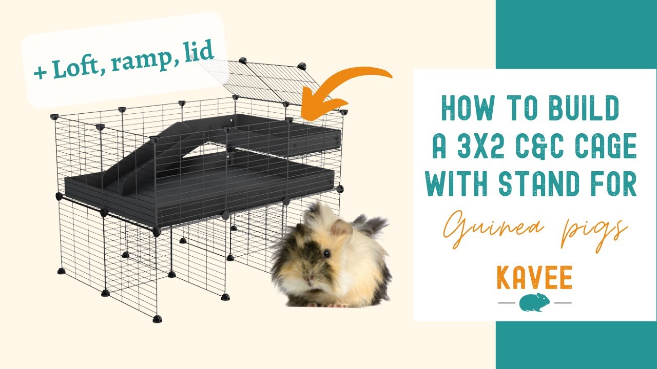 How to build a 3x2 C&C Cage for Guinea Pigs with Stand. Loft, Lid, Ramp