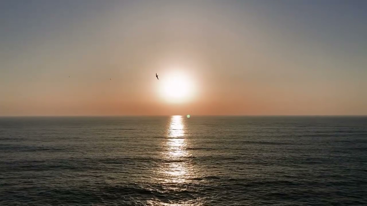 Paradise State of Mind: Uplifting Lofi Beats & Ocean Waves (4K Ultra HD)