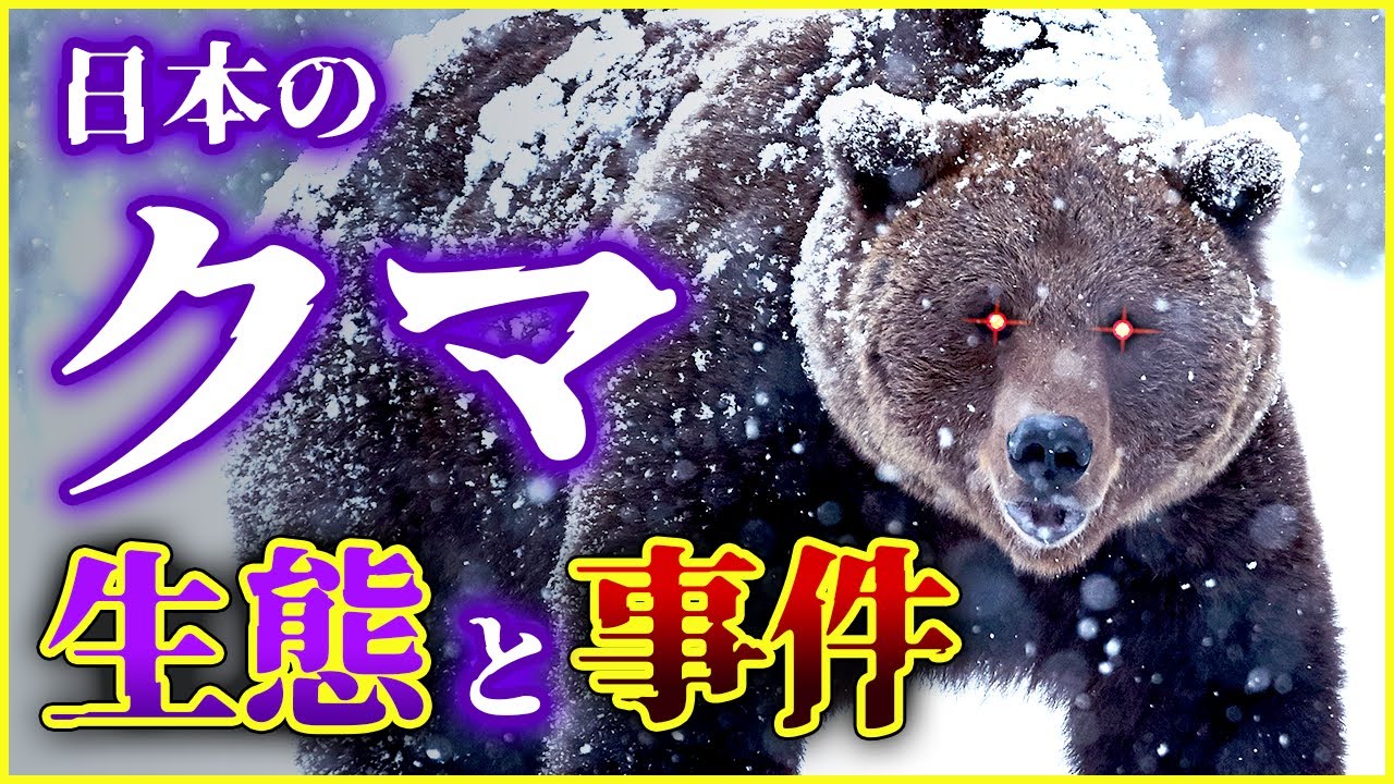 【ゆっくり解説】日本に生息するクマと恐怖の事件を解説！/ヒグマに粘着された男たちの末路!?/凶暴性が低いツキノワグマが人を襲った理由とは!?