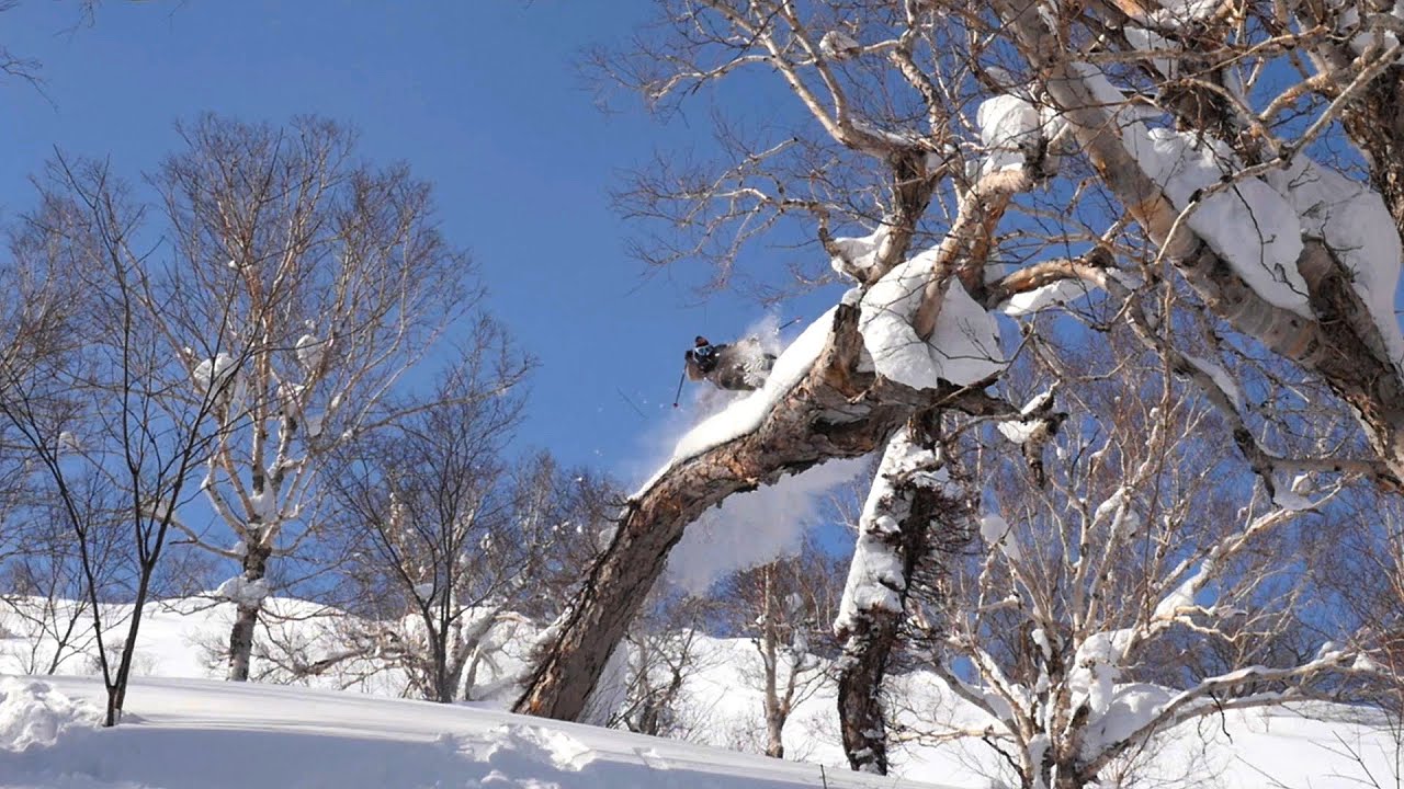 Cat Skiing in Japan with Superproof, Inc.