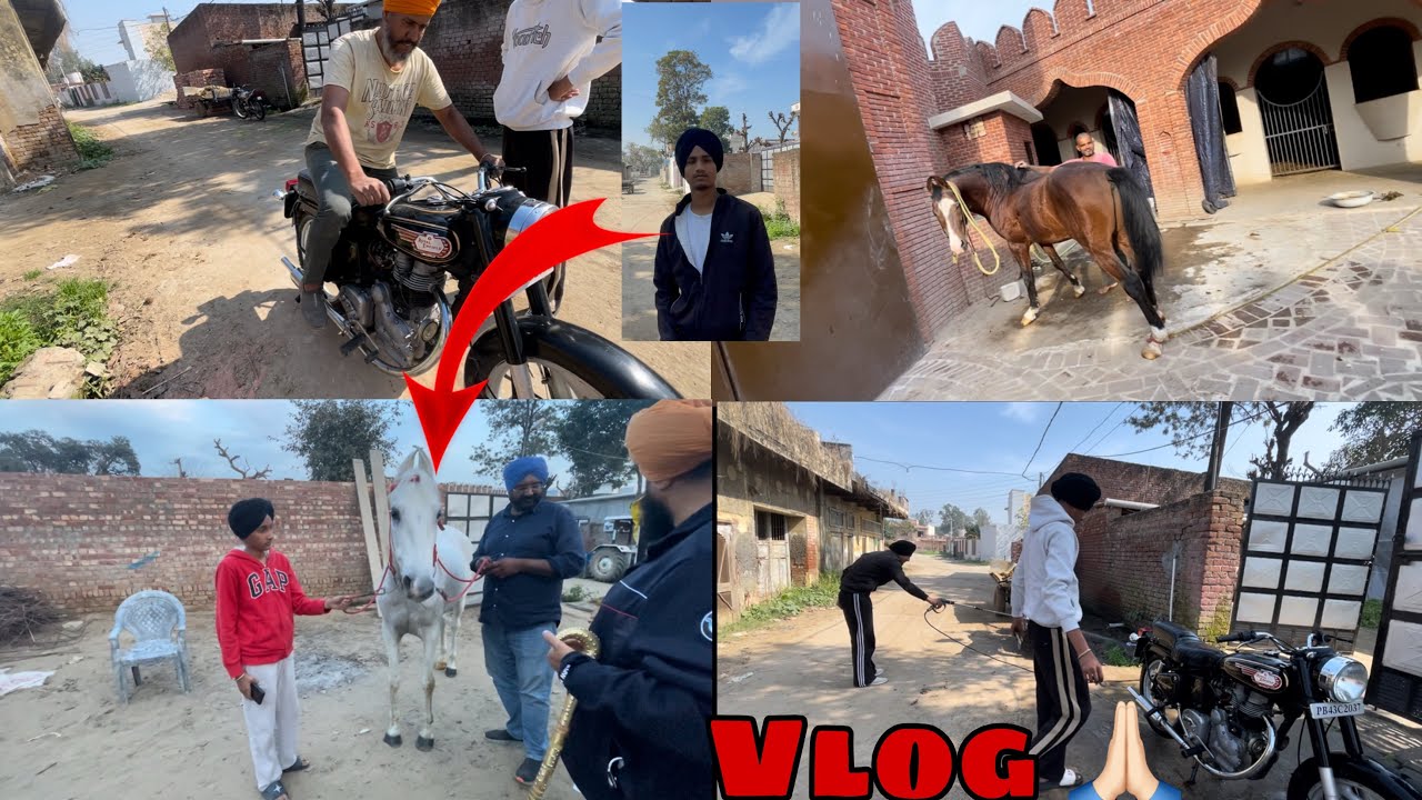 Mitro apa ik hor liyandi : ਘੋੜੀ 🐎 Vlog 2026 ❤️🙏🏻