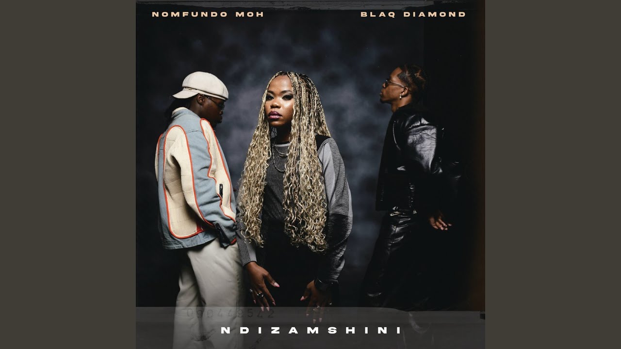 Ndizamshini