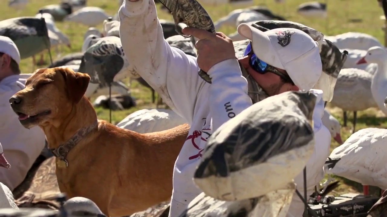 Epic Snow Geese Part 4 of 4