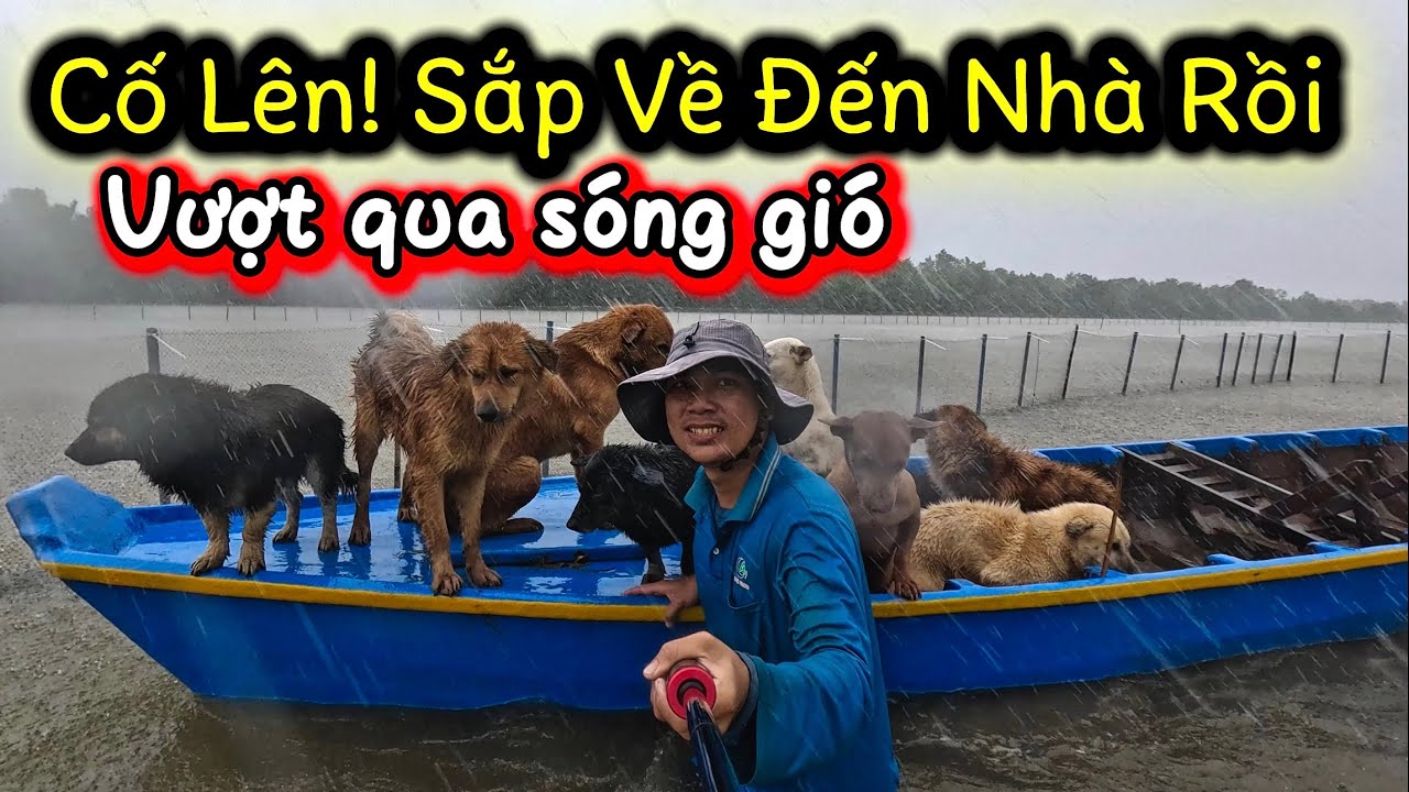 Một Ngày Lăn Lội Đi Mò Sò Huyết Không May Gặp Mưa Giông Kéo tới Chạy Không Kịp