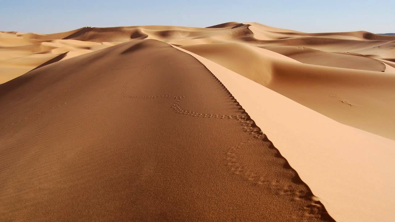 Perfect Stranger & Zen Mechanics - Desert Session