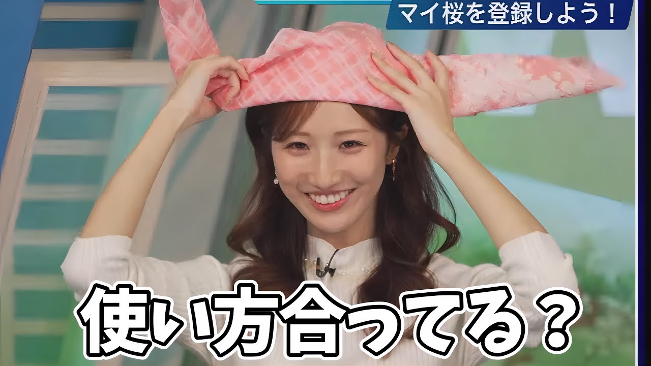 使い方はどうあれとにかく可愛いお天気お姉さん【田辺真南葉】