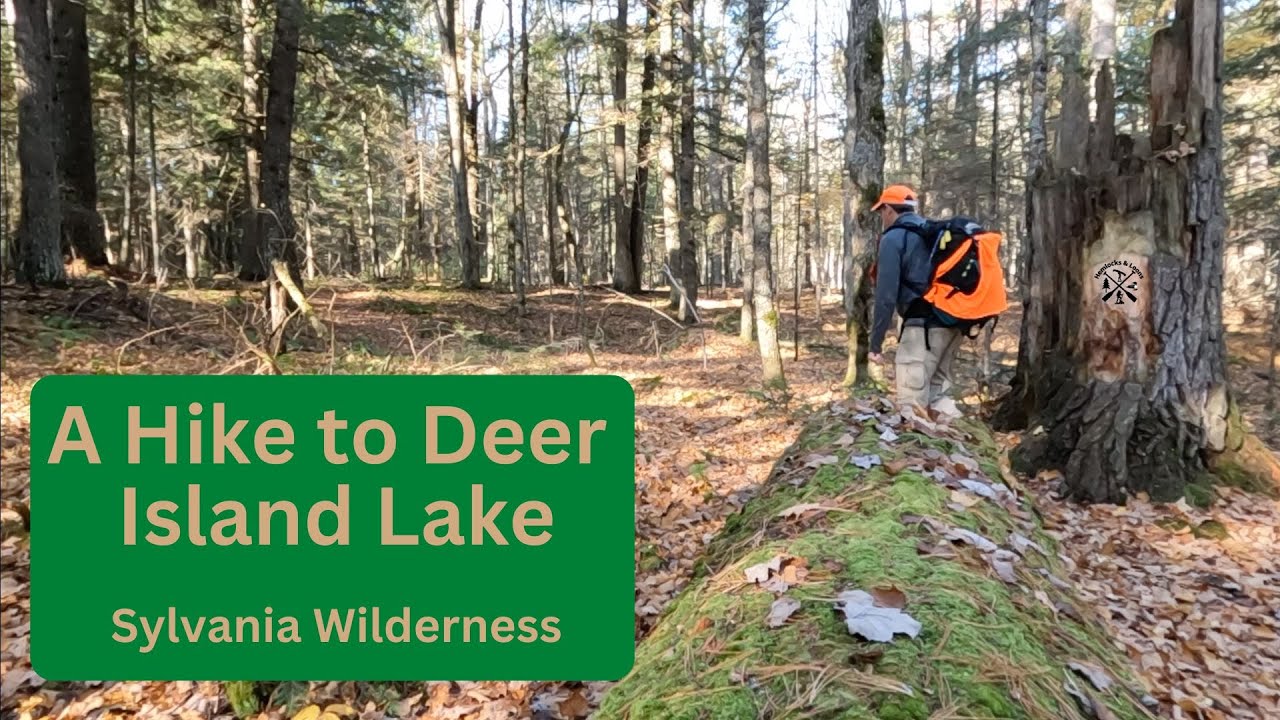 A Hike to Deer Island Lake: Sylvania Wilderness
