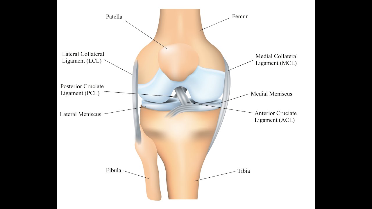 Soft Tissue Knee Injury