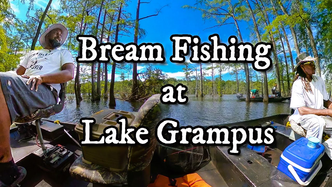 Bream Fishing at Lake Grampus with my buddy VonDean