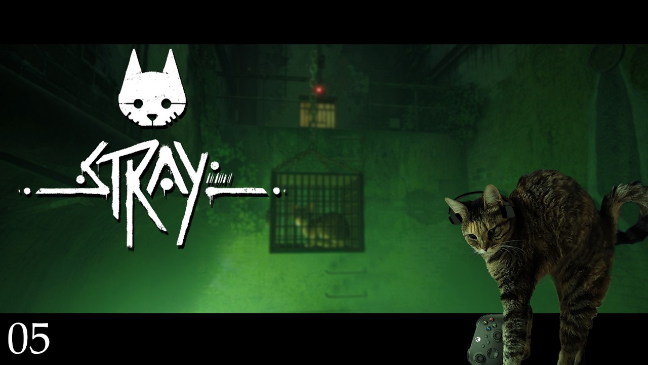 CHAT en PRISON ! et la FIN ! [Stray]