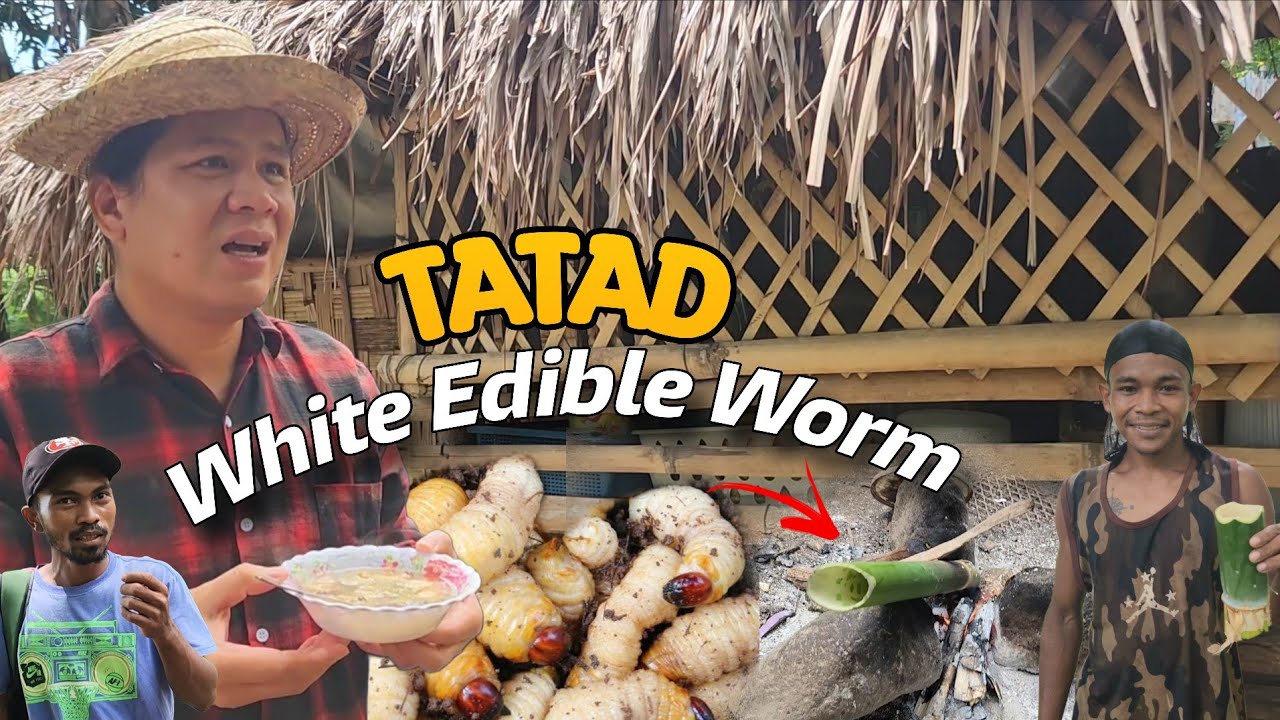 EP103 LALAKI SA GITNA NG GUBAT KINAKATAKUTAN NG IBANG TAO PERO MABAIT PALA??!!