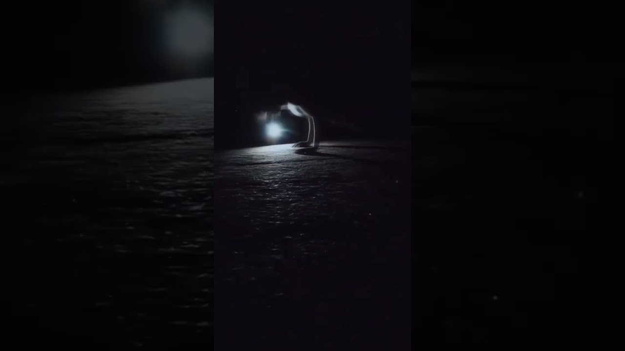 #Silhouette #MoodVideo #VideoEdit #ViralVideo #Vibes #DopeVideo #CarLife #FitnessGoals #TrendingNow