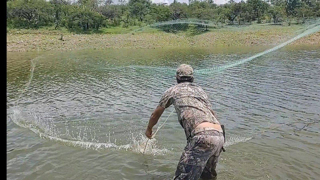 Tarraya grande exelente pesca y saludos