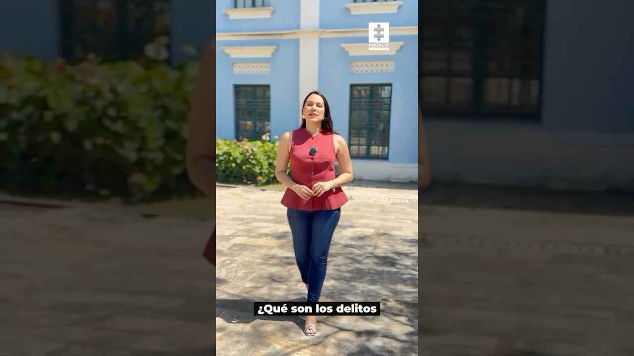 &iquest;Qu&eacute; son delitos electorales?