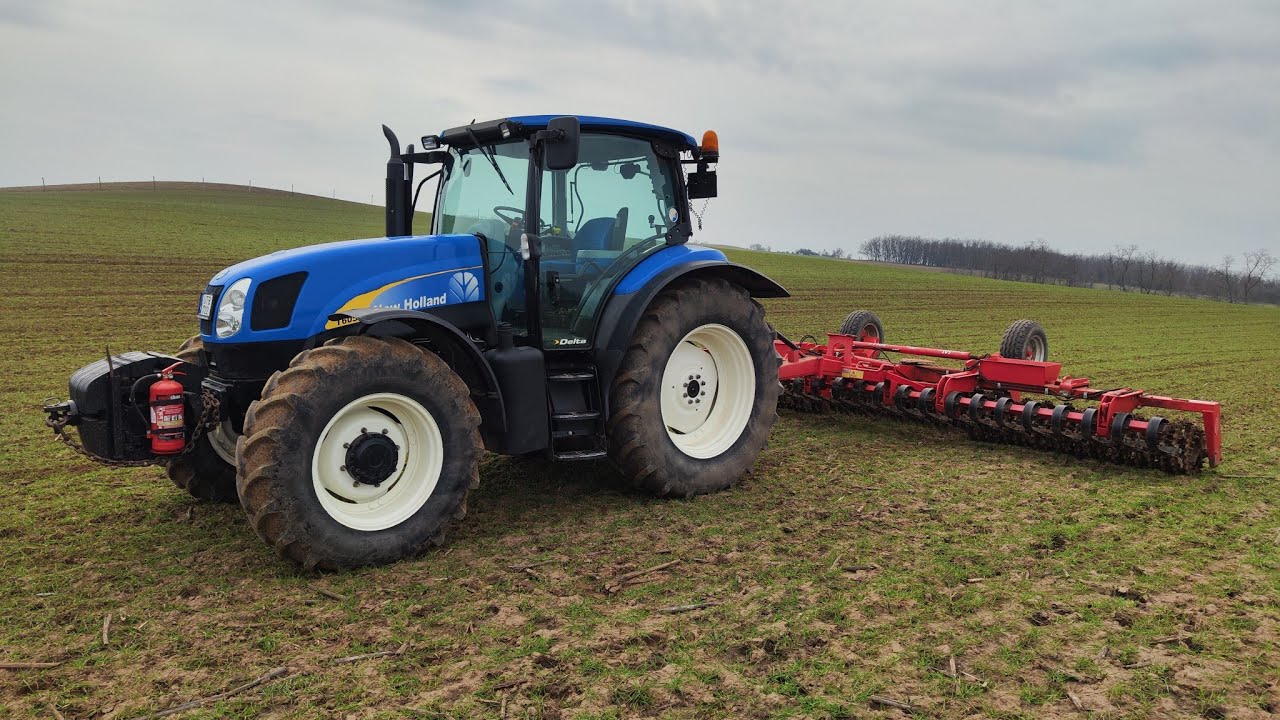 New Holland T6050 delta + He-va 630 / Búza hengerezés 2026 