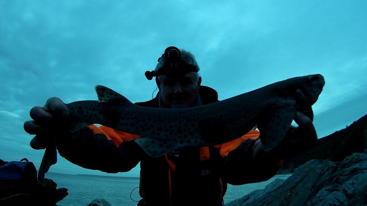 Catch, Clean, Skin, and SMOKE Dogfish - Smoked Mini Shark!