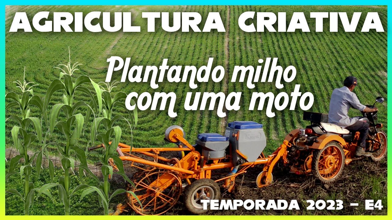 Como plantar milho com uma moto - Milho Priorizi M 274