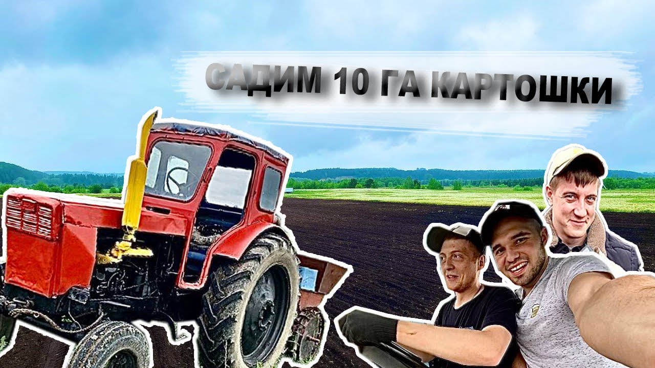БИЗНЕС НА КАРТОШКЕ 2024!МИНИ КЛУБНИ! 10 ГЕКТАРОВ!
