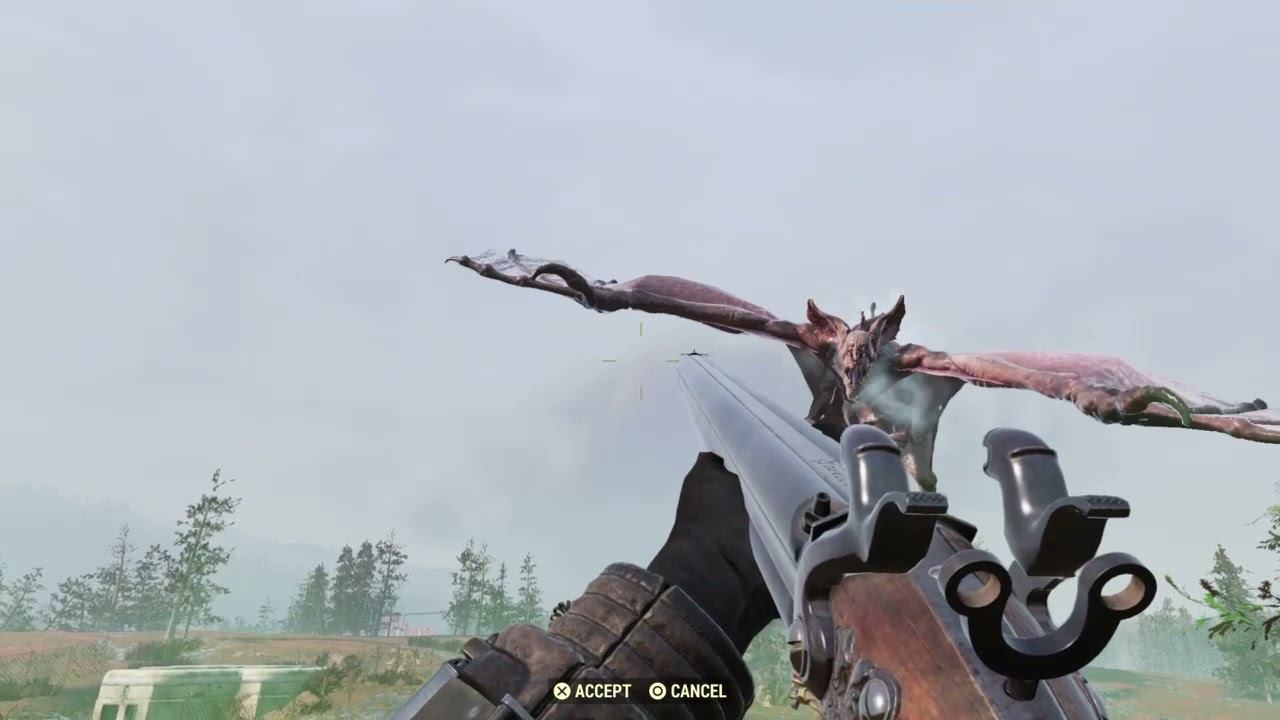 Queen solo with a nonexplosive gourmans dragon