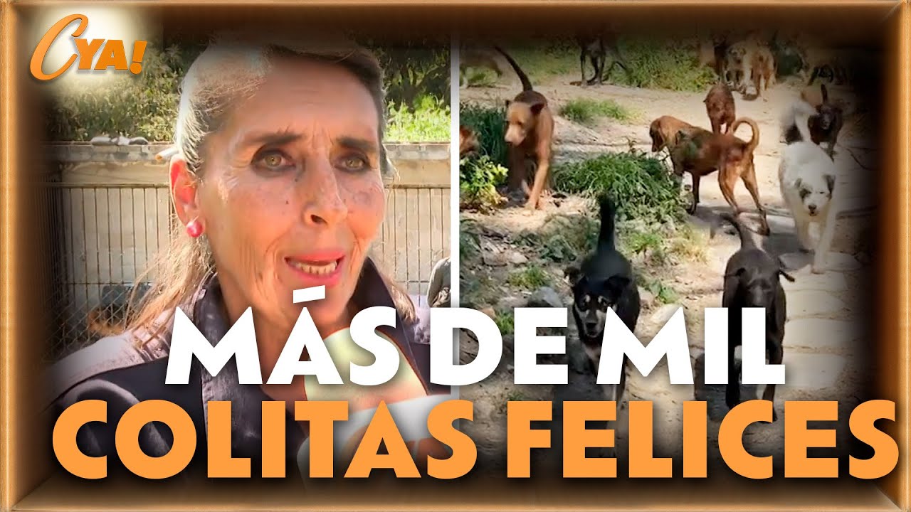 Cuéntamelo YA! dona croquetas a refugio de perritos | Cuéntamelo Ya!