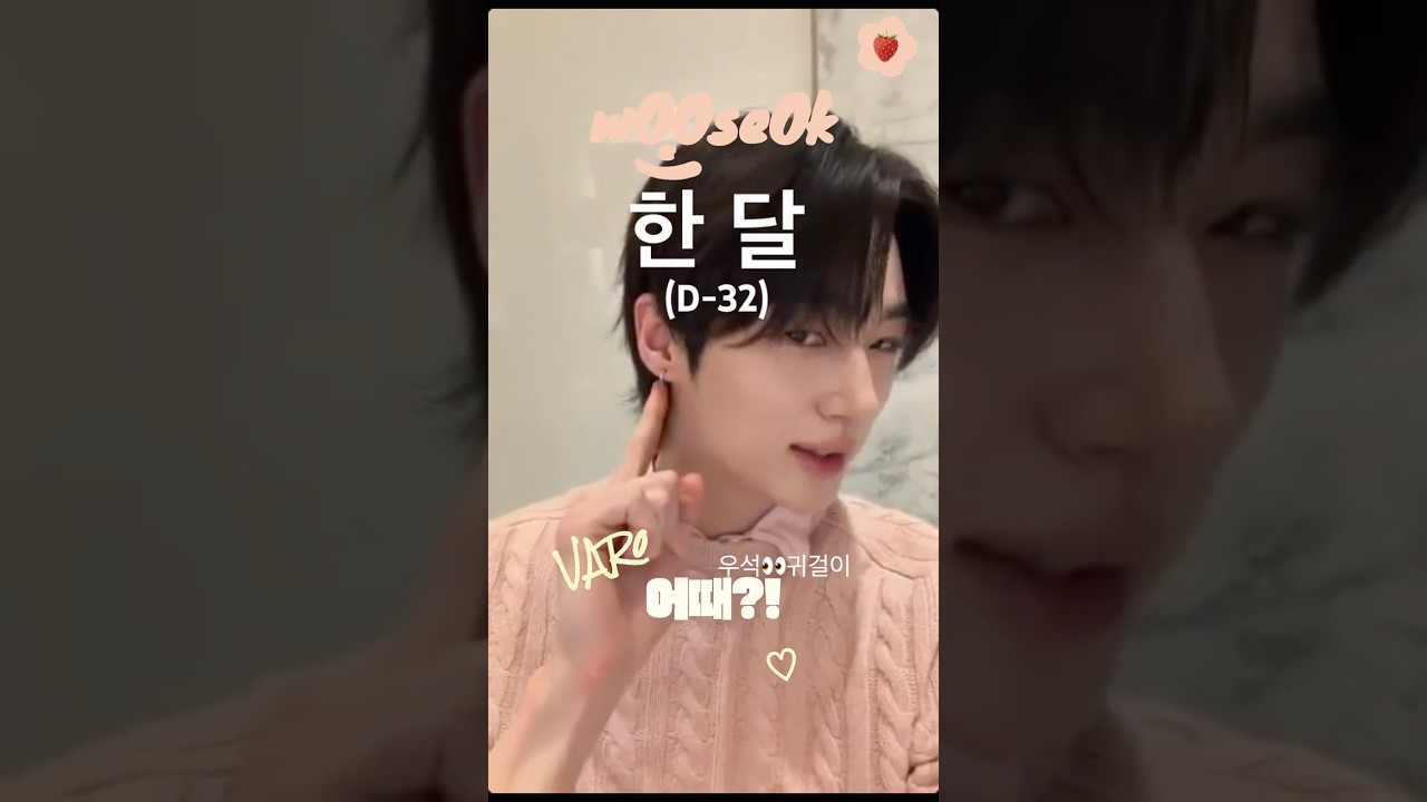 변우석 : 귀걸이 한 거 어때?
