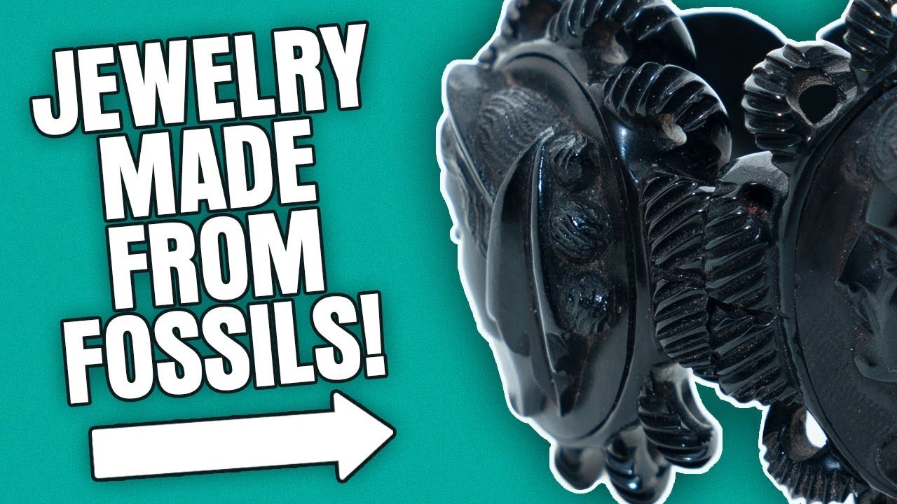 Fossilized Tree Made into Jewelry!