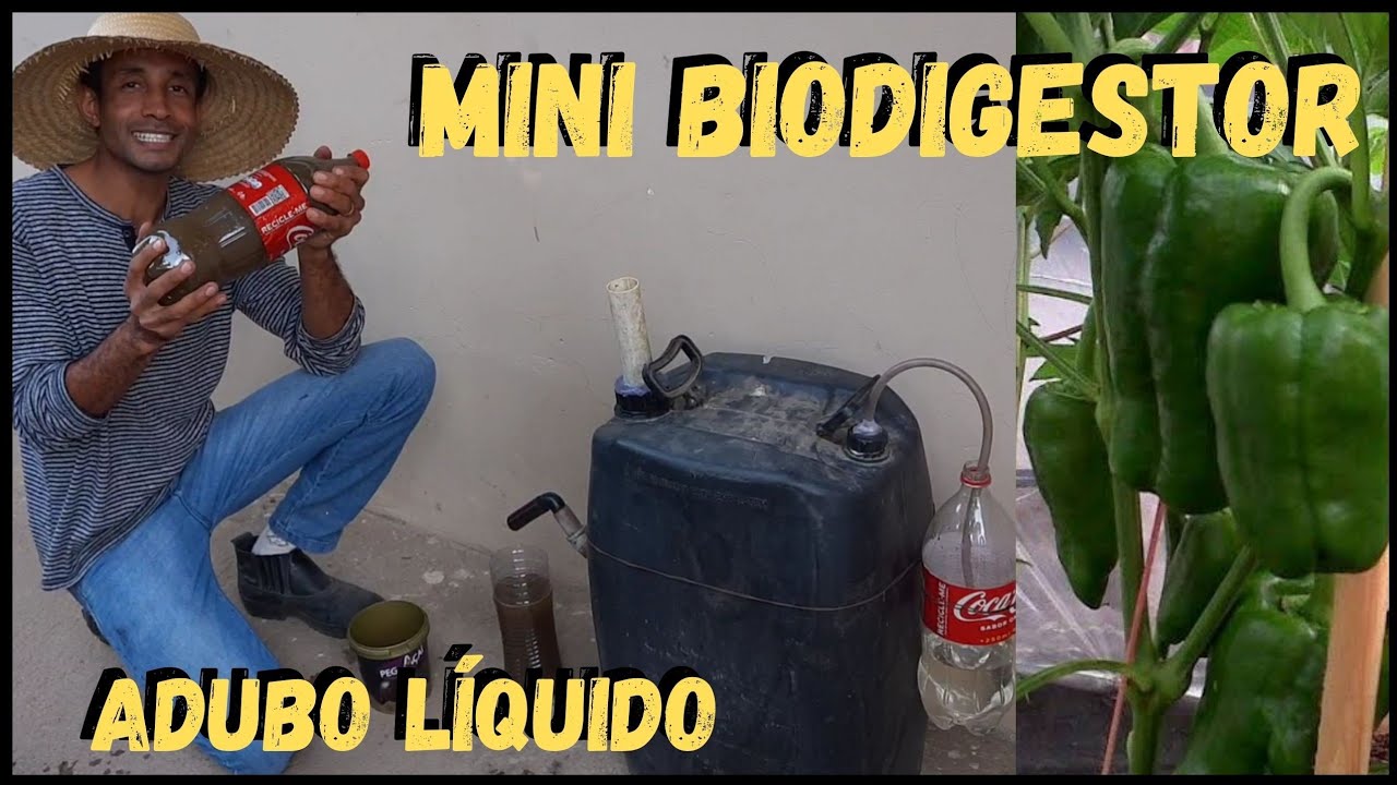 Como Fazer ADUBO LÍQUIDO de Graça #sustentabilidade @TILAPIA Minha Vida !