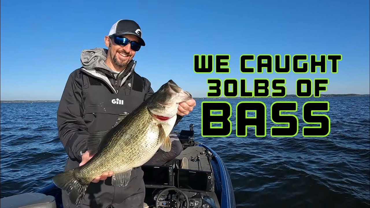 Winter BASS FISHING on TOLEDO BEND.