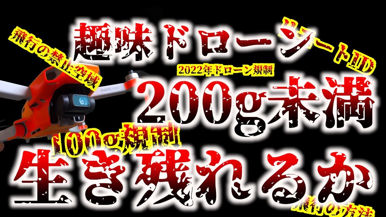 【航空法改正】趣味で飛ばしている200g未満のドローンは2022年の規制で生き残れるか？（100g規制 飛行の禁止空域 リモートID等）【まとめ・徹底解説】DJI Mini2はどうなる？【drone】