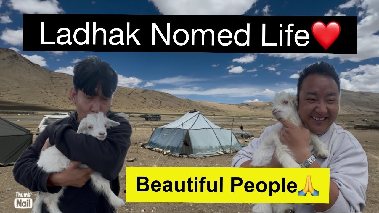 Ladahk nomed life||must watch this vlog||so hardworking people🙏||tibetan vlogger||tibetan||bir||