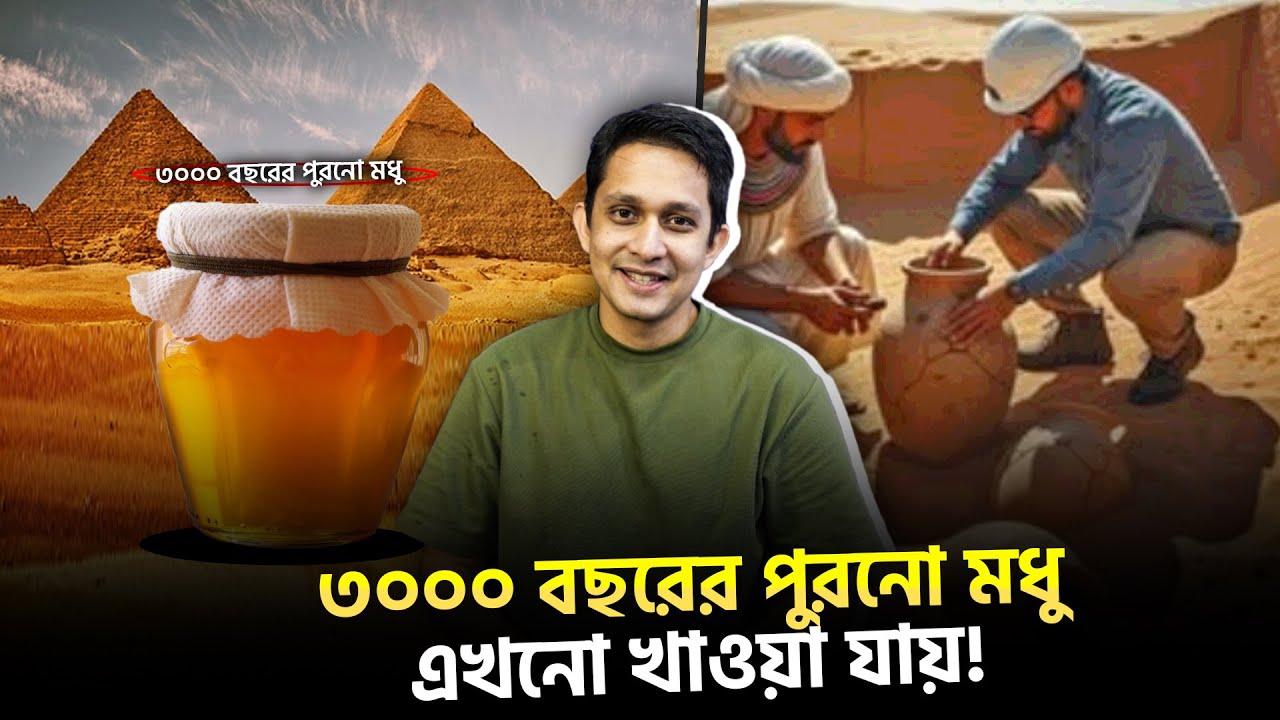 ৩০০০ বছরের পুরনো মধু এখনো খাওয়া যায়, কেন হাজার বছরেও মধু ন'ষ্ট হয় না?