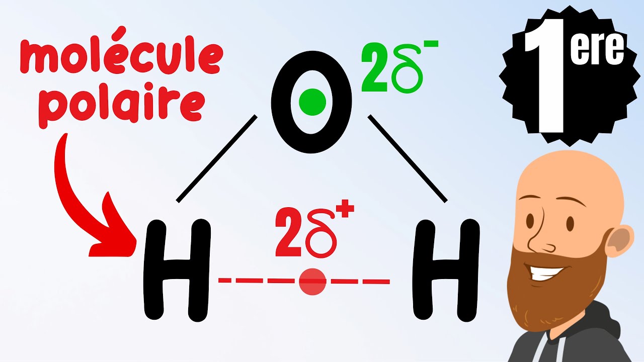 Polarité d'une molécule - polaire ou apolaire? Cours de première - physique chimie