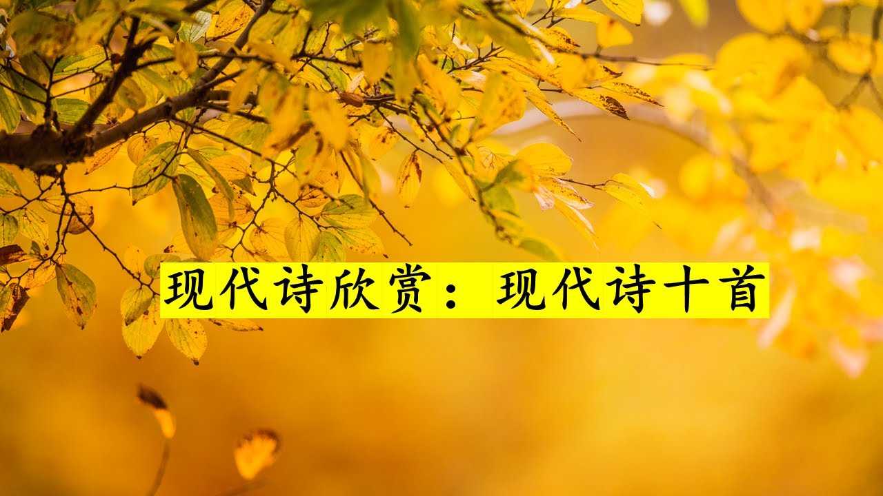 现代诗欣赏：现代诗十首 Appreciation Of Chinese Poems: 10 Chinese Poems