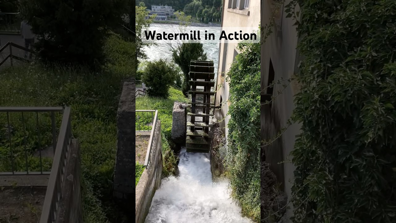 Watermill in Action #waterfall #watermill #action #sound #music #shorts #viralvideo #youtubeshorts