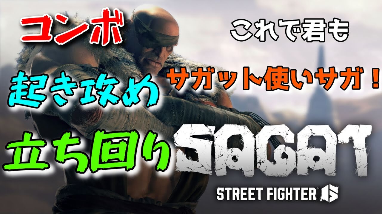 【サガット解説】これを見ればサガット使いになれる！簡単サガットでみんなもタイガー！【サガットでストリートファイター6】