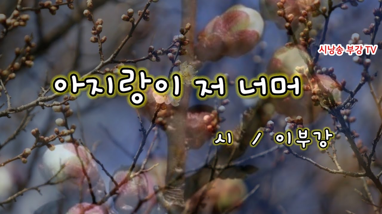 시낭송| 아지랑이 저 너머 | 이부강