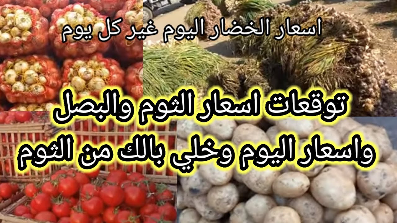 توقعات اسعار البصل والثوم واسعار البصل والثوم والطماطم والبطاطس والخضار غير كل يوم
