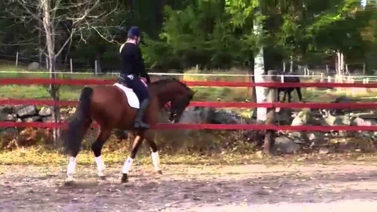 Crazy Boy - till salu