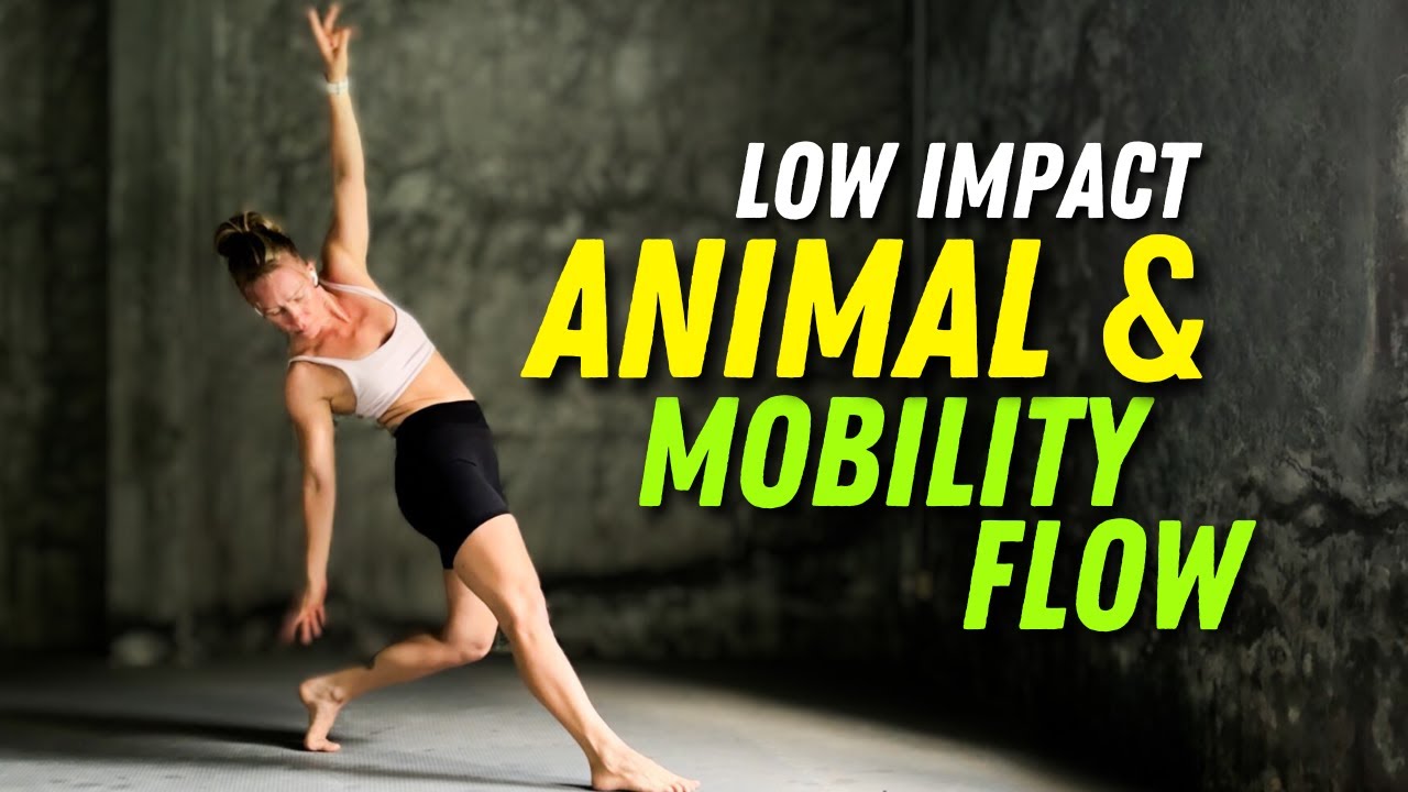 35 Min Animal & Mobility Flow Low Impact Workout // Primal Movements Fitness