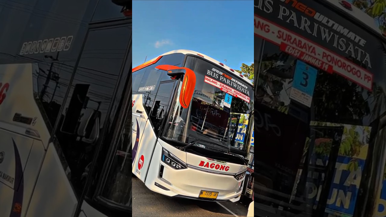 Jambore Nasional Bis mania community #bismania #bismaniacommunity #bisbagong #bagong