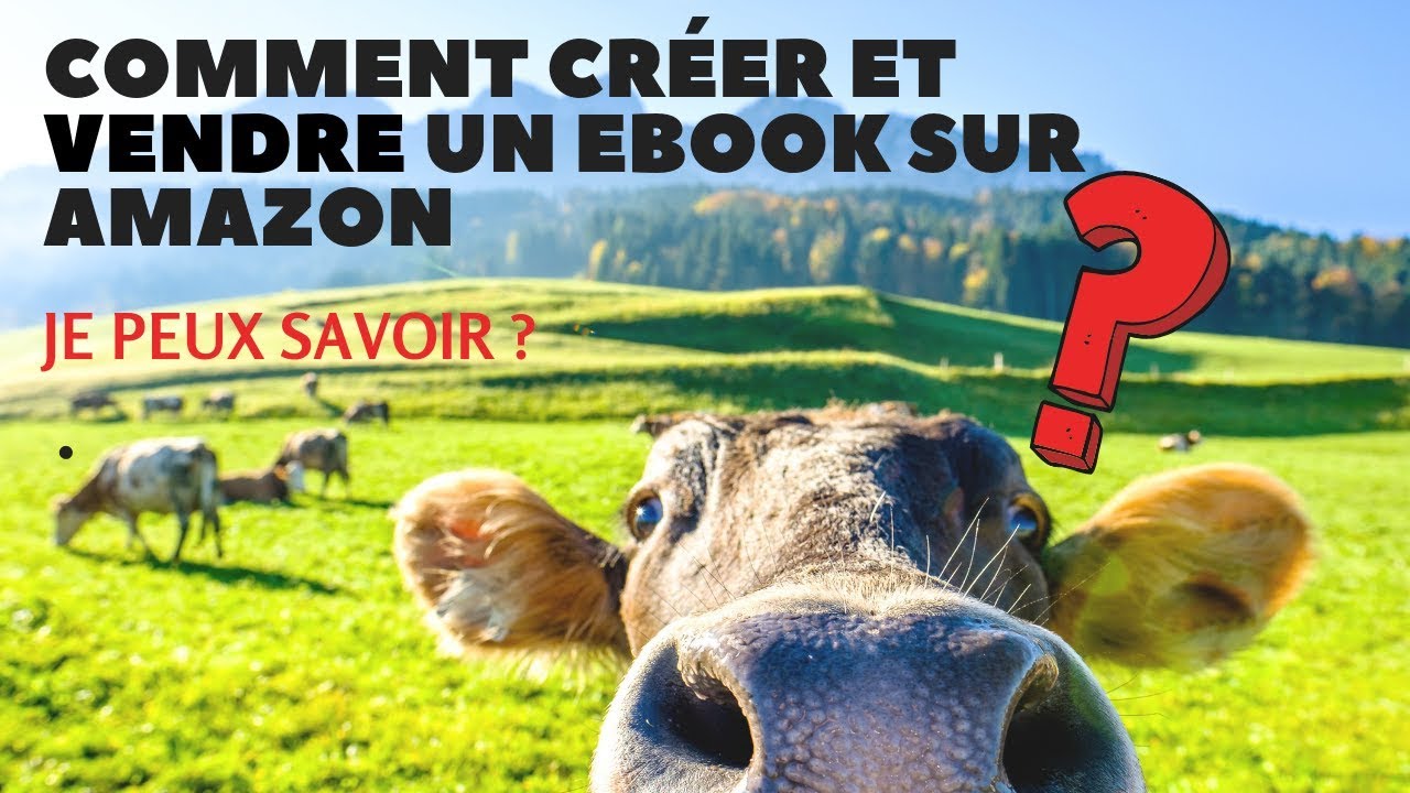 Comment créer un EBOOK pro et le vendre sur AMAZON