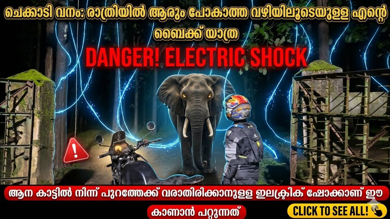 ചേകാടി വനം: എന്റെ ജീവിതത്തിലെ ഏറ്റവും പേടിപ്പെടുത്തിയ ബൈക്ക് റൈഡ് | Forest Ride in Kerala