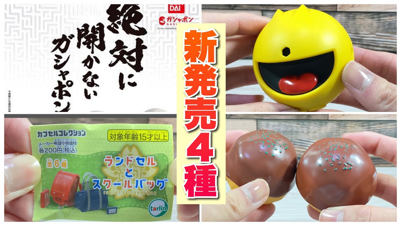 ぜんぶ新発売のガチャガチャを開けようとしたら…あれ？？