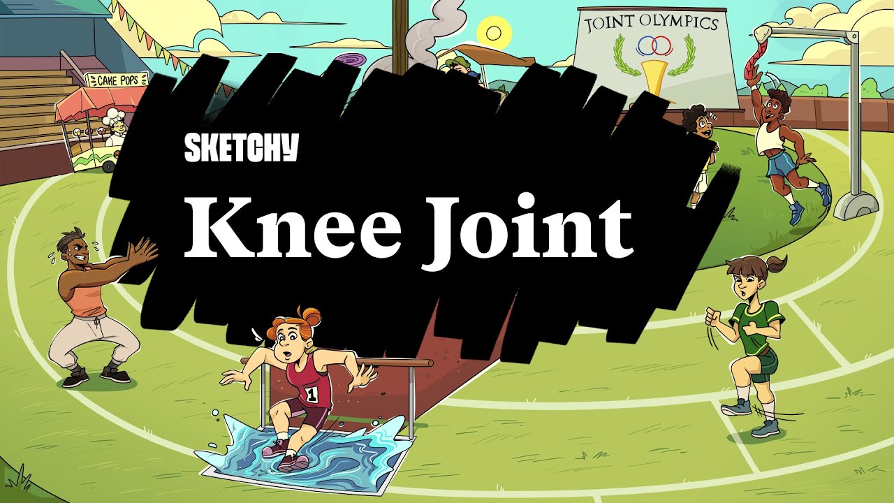Human Knee Joint & Injuries (Part 1) | Sketchy Medical | USMLE Step 1