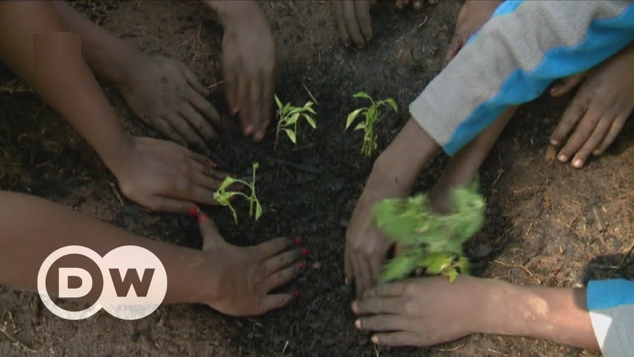 A greener future for Diepsloot's slum kids | DW English
