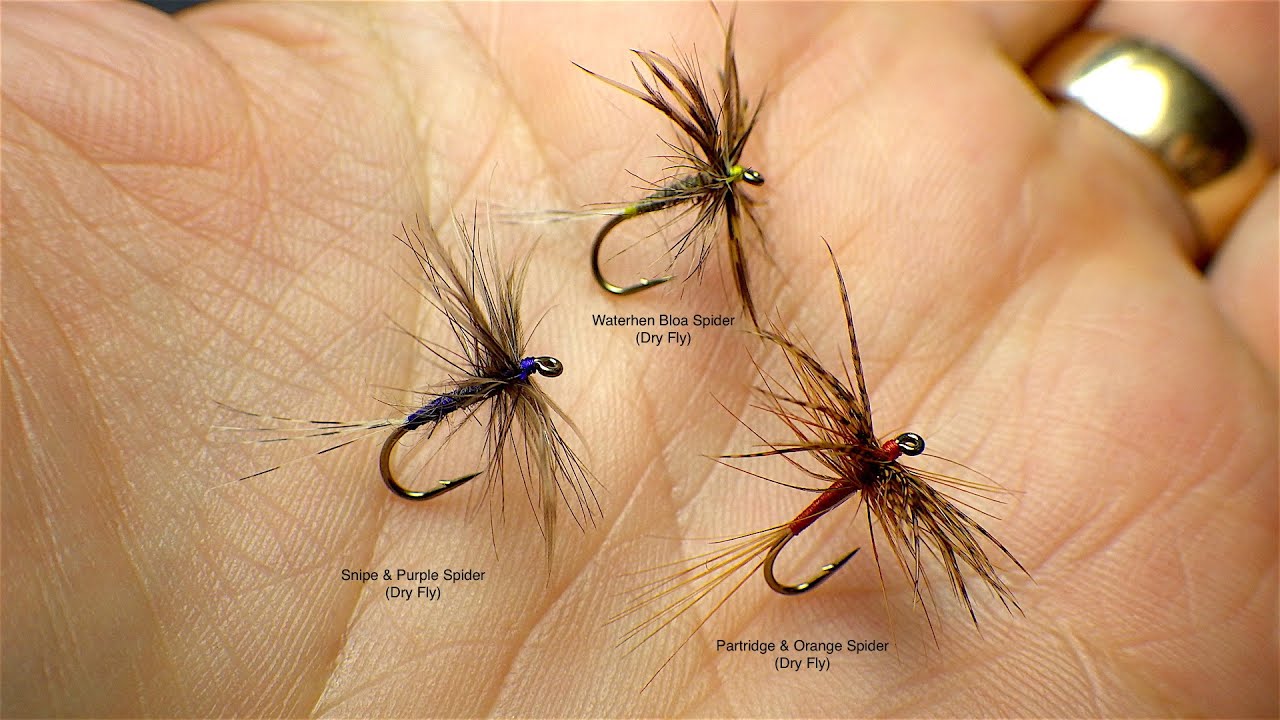 Tying the Waterhen Bloa Dry Fly by Davie McPhail