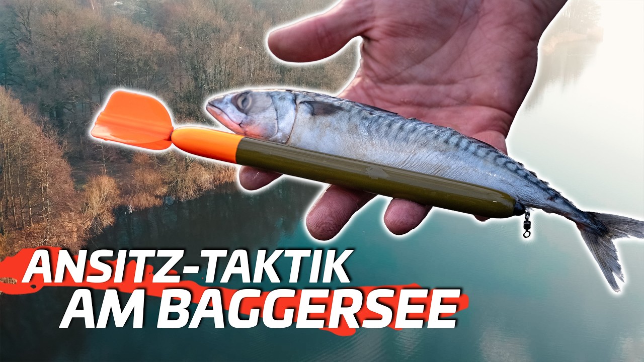 BAGGERSEE mit Deadbait im Winter – So findest du die besten Stellen