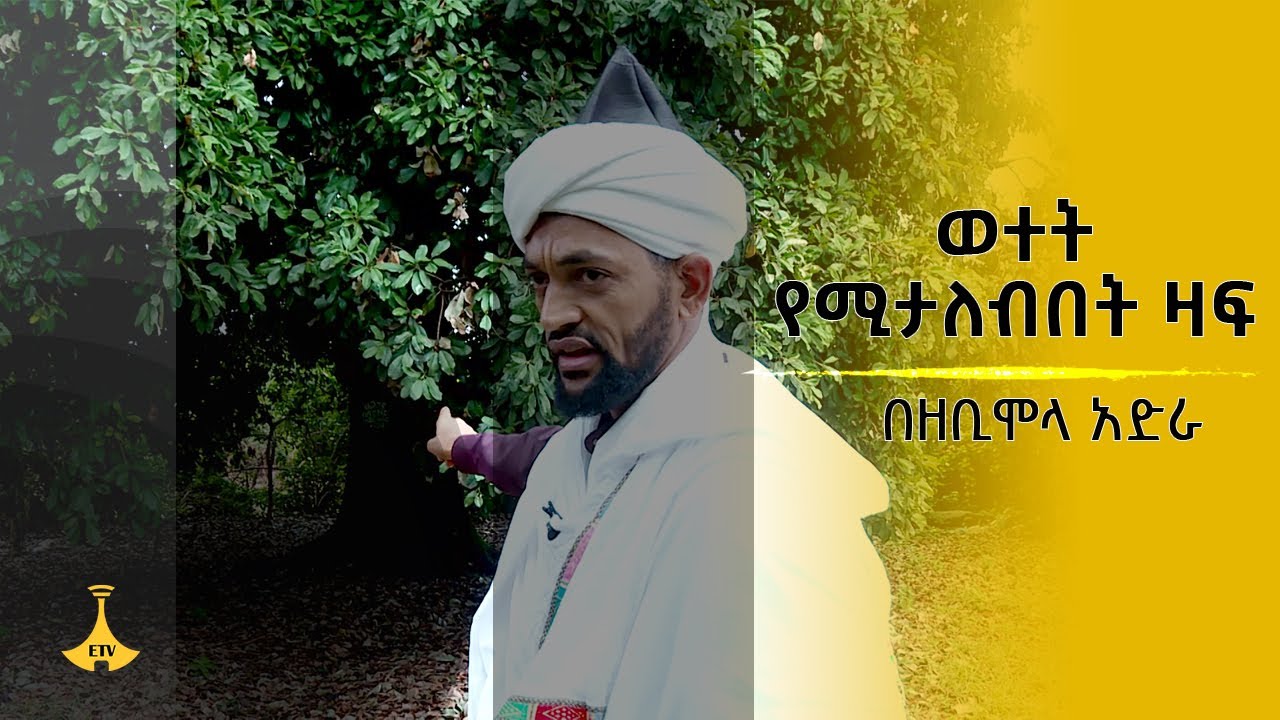 ወተት የሚታለብበት ዛፍ በዘቢ ሞላ አድራ