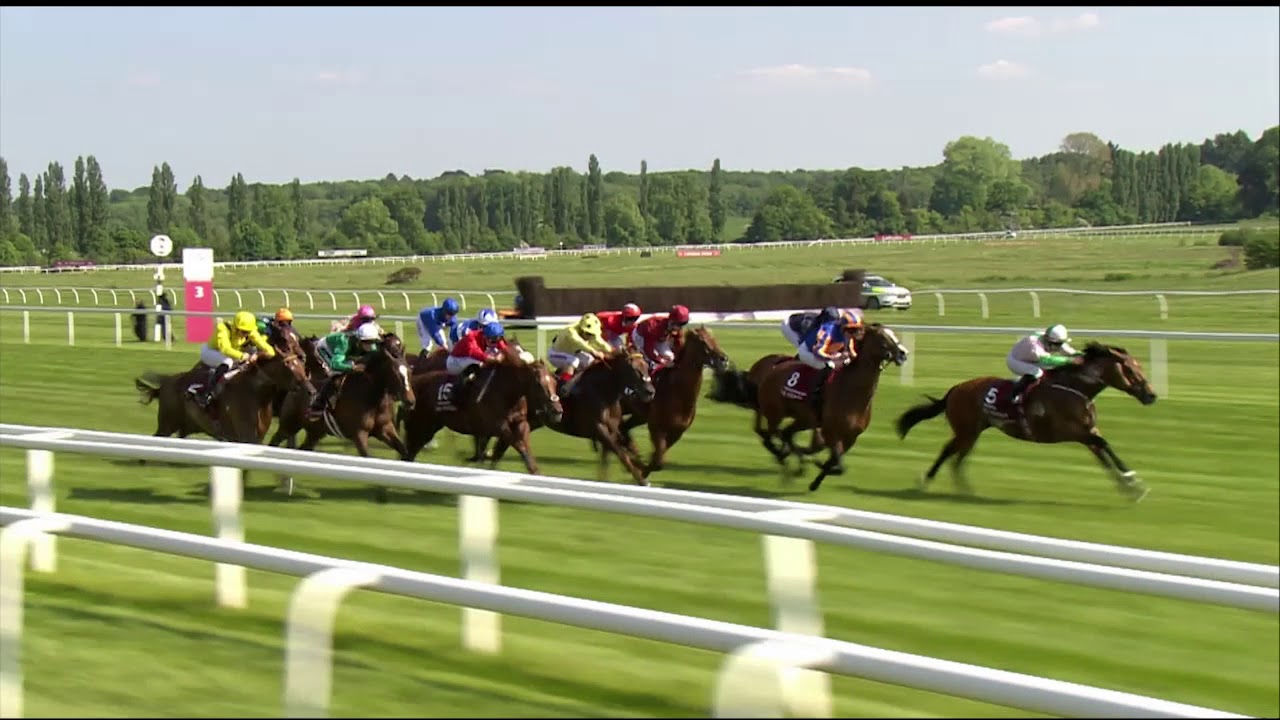 2018 Al Shaqab Lockinge Stakes - Rhododendron